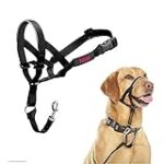 Análisis y comparativa: Los mejores collares antitirones para perros del mercado