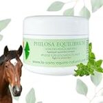 Todo lo que necesitas saber sobre la sarna en caballos: Análisis y comparativa de los mejores productos para tratar a tu mascota equina Todo lo que necesitas saber sobre la sarna en caballos: Análisis y comparativa de los mejores productos para tratar a tu mascota equina