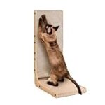 Guía definitiva del criador de gatos: Análisis y comparativa de los mejores productos para tu felino Guía definitiva del criador de gatos: Análisis y comparativa de los mejores productos para tu felino