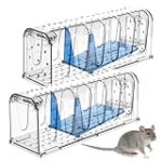 Análisis y comparativa: ¿Dónde comprar ratones vivos para tu mascota? Análisis y comparativa: ¿Dónde comprar ratones vivos para tu mascota?