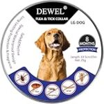 Análisis y comparativa: Seresto Bayer, la mejor protección para tu mascota Análisis y comparativa: Seresto Bayer, la mejor protección para tu mascota