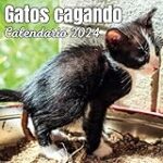 Guía completa: Cabo de Gata con perro en 2024 - Análisis y comparativa de productos para una aventura perfecta con tu mascota Guía completa: Cabo de Gata con perro en 2024 - Análisis y comparativa de productos para una aventura perfecta con tu mascota