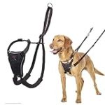 Análisis y comparativa: Los mejores arneses antitirones para pasear a tu mascota