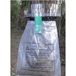 Descubre cómo proteger a tu perro de las orugas peligrosas: análisis y comparativa de productos esenciales para su cuidado Descubre cómo proteger a tu perro de las orugas peligrosas: análisis y comparativa de productos esenciales para su cuidado