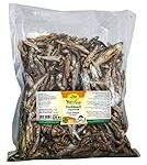 Tres opciones de pescado para perros: Análisis y comparativa de los mejores productos para tu mascota