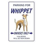 Guía completa del criador de Whippet: Análisis y comparativa de los mejores productos para esta raza Guía completa del criador de Whippet: Análisis y comparativa de los mejores productos para esta raza