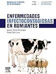 Análisis de los servicios de la clínica veterinaria del Valle: ¡La mejor opción para cuidar a tu mascota! Análisis de los servicios de la clínica veterinaria del Valle: ¡La mejor opción para cuidar a tu mascota!