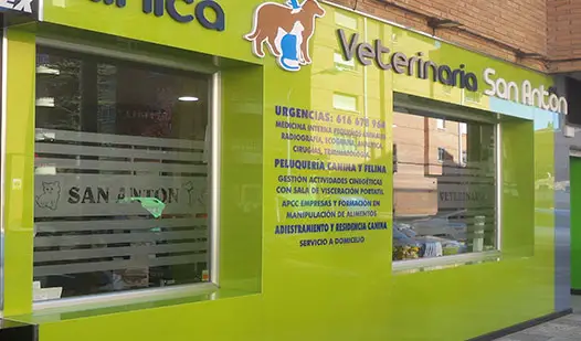 Veterinarios en Cuenca