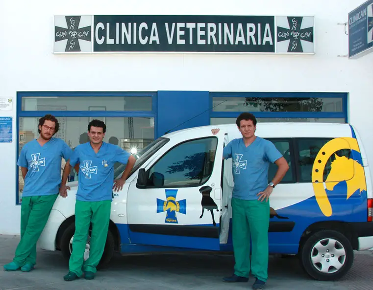 Veterinarios en Jaén
