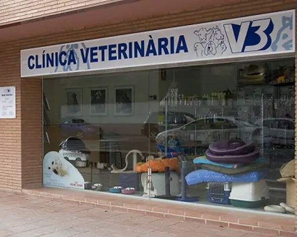 Veterinarios en Lleida