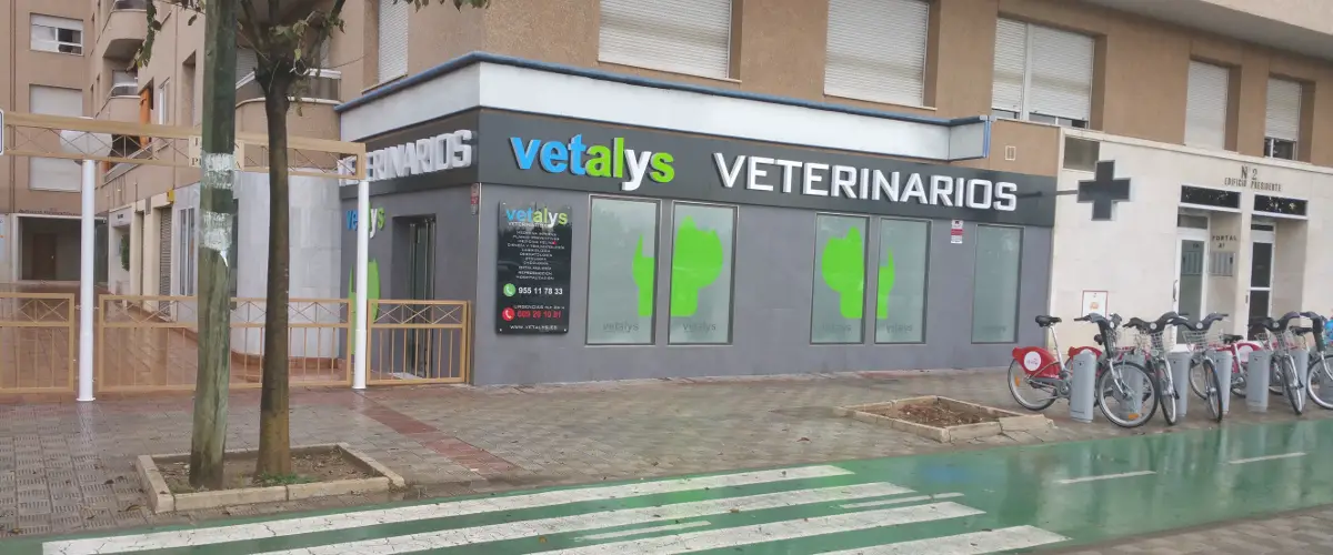 Veterinarios en Sevilla