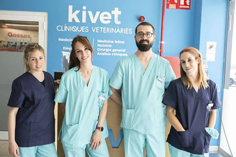 Veterinarios en Tarragona