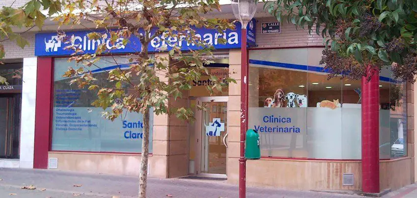 Veterinarios en Valladolid